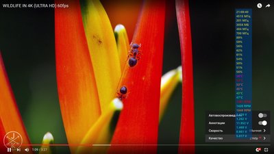 4к60фпс2.jpg