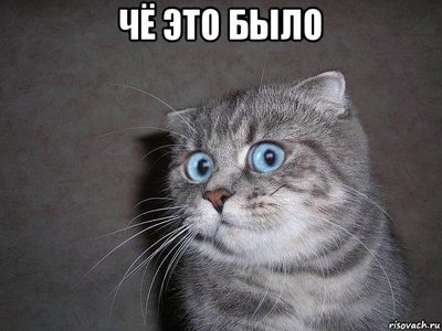 42a28af55d04159f.jpg