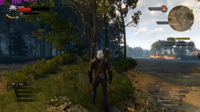 witcher3_2016_06_25_00_39_33_645.jpg