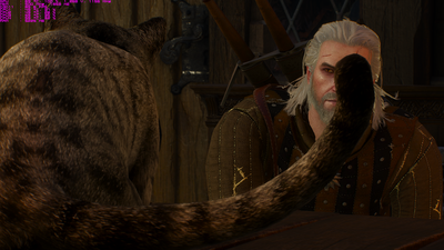 Ведьмак фури икс кот.png