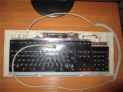 413f30a96021.jpg