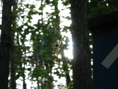 IMG_6157.JPG