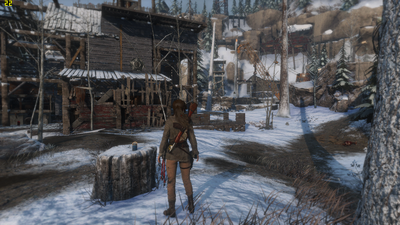 ROTTR 2016-08-23 13-38-25-87.png