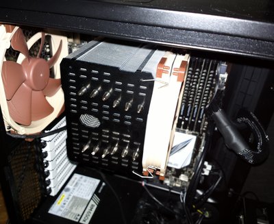 Macho_Noctua.jpg