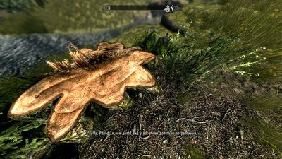 ScreenShot0.JPG