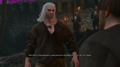 witcher3_2016_06_04_21_15_04_795.png