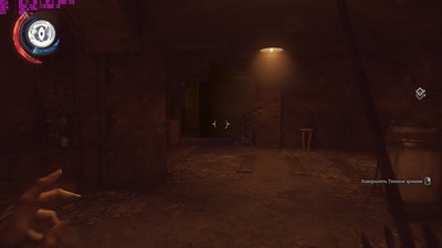 ds2.jpg