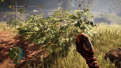 FCPrimal 2017-01-11 17-32-50-15.jpg