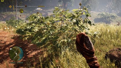 FCPrimal 2017-01-11 17-33-16-62.jpg