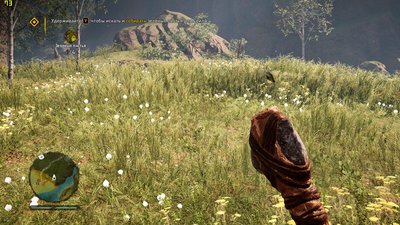 FCPrimal 2017-01-11 17-34-35-05.jpg