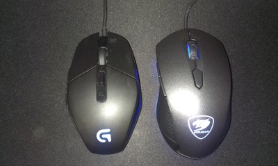 mouse.jpg