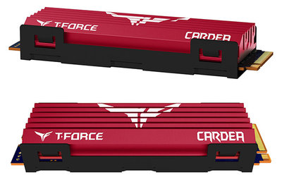Team-T-Force-Cardea-2.jpg