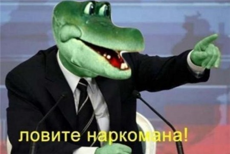 be0bb3269188.jpg