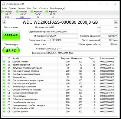 WD.JPG