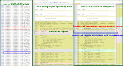 трансплантация мозга.jpg