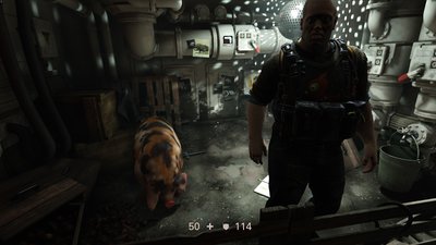 Pig.jpg
